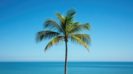 Tropical palm tree bathed in sunlight contrasts beautifully with a clear blue sky, evoking a soothing summer vacation vibe, perfect for relaxation and tranquility. Ample copy space available.