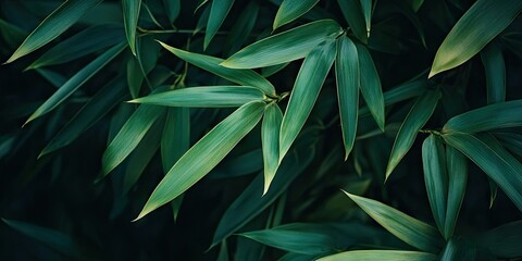 Obraz premium Calm and peaceful green bamboo leaves promote tranquility and support overall wellness, making them a perfect element for relaxation and mental well being.
