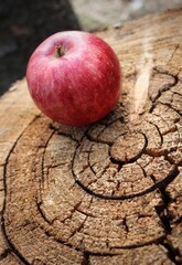 Red apple lies on a stump. Wood texture of a cut tree trunk. tree life lines. brown background. deforestation. lumber. carpenter. Natural natural background. forest. woodworking.circle