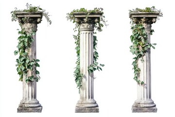Naklejka premium Set of 4 antique column set with overgrown foliage and flowers isolated in white background