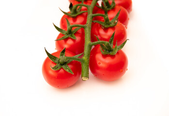 tomatoes on a white background