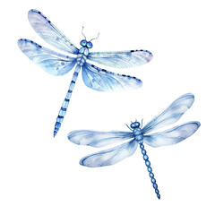 Blue and white Watercolor Dragonfly Chinoiserie ornament vintage art
