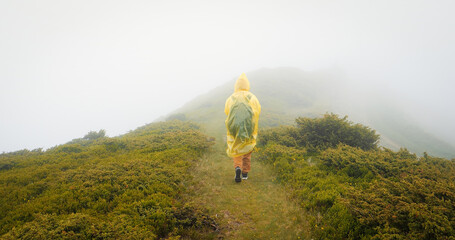 Back view of woman hiker exploring nature in a misty rainy landscape. Trekking in cold stormy...