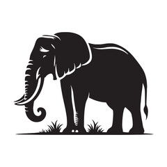 Fototapeta premium Creative elephant silhouette for modern and artistic projects - Elephant black vector 