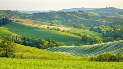 Fototapeta premium A peaceful rural area with rolling hills and farmland