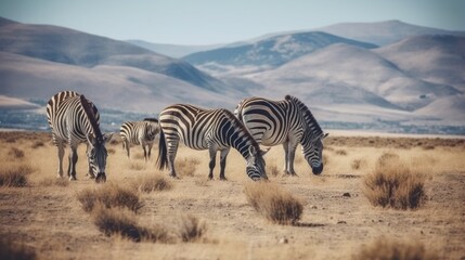Obraz premium A group of zebras grazing in a dry landscape with mountains in the background.