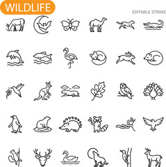 Obraz premium Wildlife Animal Icons Diverse Fauna Line Art Graphic Set