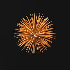 Obraz premium A firework is lit up in the night sky