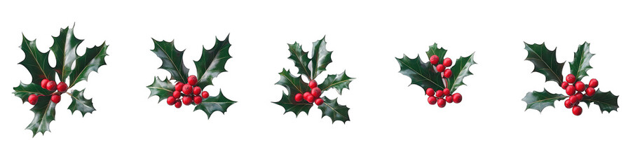 A collection of holly branches with red berries arranged on a white background. transparent background