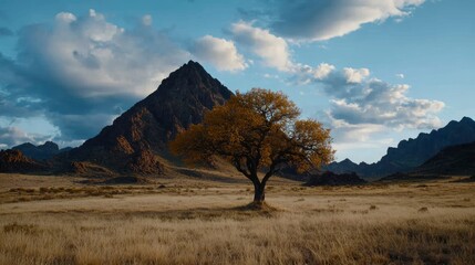 Obraz premium Lone Tree in Autumn on a Mountain Plain