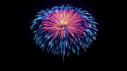 A stunning burst of colorful fireworks fills the night sky, casting a mesmerizing glow