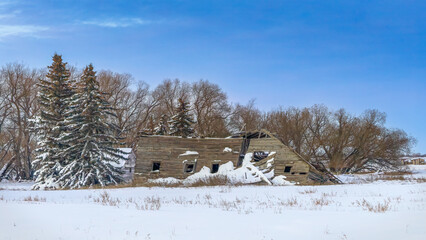 Abandoned, wooden building fallen to the ground in winter setting
