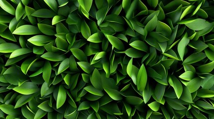 Fototapeta premium Lush Green Foliage Background Texture - Vibrant Spring Leaves