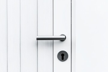Elegant door hardware accentuating a clean white surface.