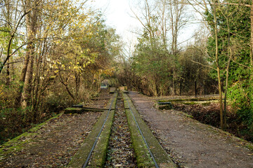 Fototapeta premium Old narrow gauge railroad disappearing into the woods at middlesex filter beds nature reserve