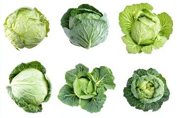 Fototapeta premium Set of Cabbage isolated in white background