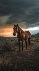 Obraz premium Horse standing in desert landscape at sunset, stormy sky. Wild nature and solitude concept