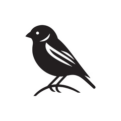 Obraz premium Detailed finch silhouette for creative artistic projects - Finch black vector 
