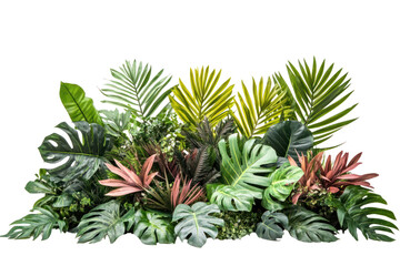 Obraz premium A diverse arrangement of vibrant tropical foliage including various species of palms and oversized leaves, designed to evoke the essence of a jungle