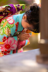 境内で参拝する七五三の7歳の女の子