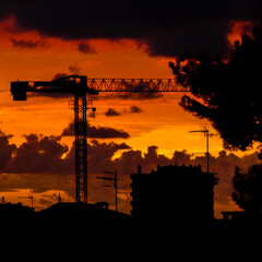 Fototapeta premium GRUA 