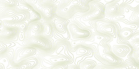 Abstract topographic map background. Topographic map lines contour background. 

