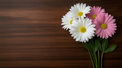 Fototapeta premium Delicate Pink and White Daisies on Dark Wood Background