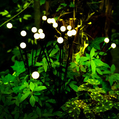 solar garden light in a flower bed at night, energy saving concept