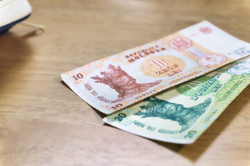 Moldovan Ten and Twenty Leu Banknotes on Wooden Surface