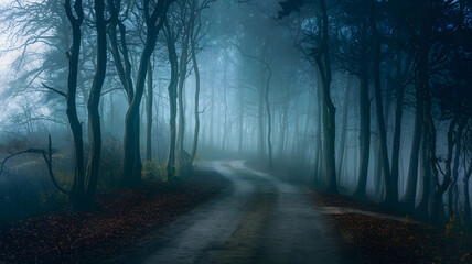 Obraz premium A misty forest landscape with dense fog covering the trees and hills.