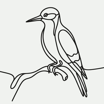 recommend clip art: Minimalist woodpecker illustration in one-line art style, AI Generation