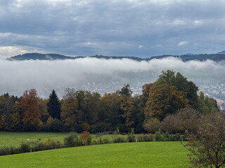 Foggy mountain panorama in autumn on a hill in Saint Gallen in Switzerland