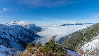 산꼭대기 풍경 눈으로 덮인 산봉우리와 그 아래로 펼쳐진 운해