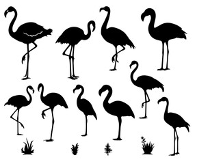 Fototapeta premium Flamingo svg set 2