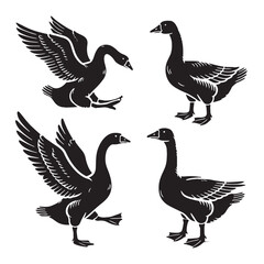 Fototapeta premium Stylish goose silhouette for creative media applications - Goose illustration - minimallest goose vector 