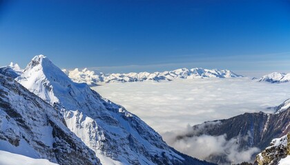 산꼭대기 풍경 눈으로 덮인 산봉우리와 그 아래로 펼쳐진 운해