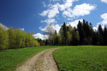 Landscape of Parszywka peak in Makow Beskids in Poland