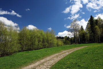 Landscape of Parszywka peak in Makow Beskids in Poland
