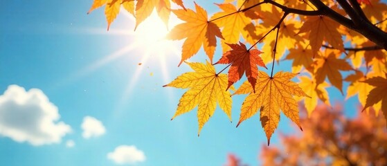 Obraz premium Golden Autumn Leaves Sunlight Blue Sky AI Photo, Autumn Scenery, Bright Sunlight, Fall Foliage, Vibrant Colors, Deep Depth of Field, Nature Photography, Landscape, Outdoor, Scenic, Tranquil,