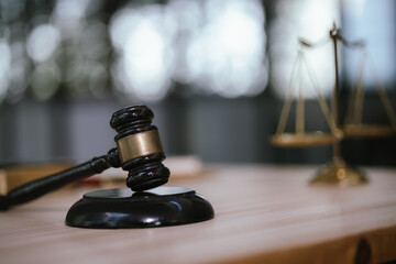 Lawyers and staff discuss and consult on legal issues and work related to lawyers.