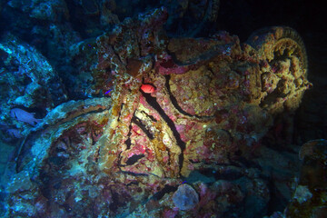 Old motorbikes inside Thistlegorm shipwreck in the Red Sea, Egypt