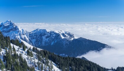산꼭대기 풍경 눈으로 덮인 산봉우리와 그 아래로 펼쳐진 운해