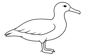 Fototapeta premium albatross line art silhouette vector illustration