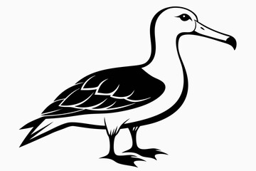 albatross line art silhouette vector illustration