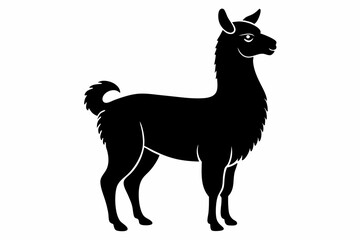 alpaca line art silhouette vector illustration