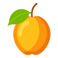 illustration of orange fruit