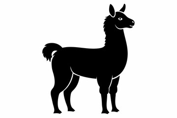alpaca line art silhouette vector illustration