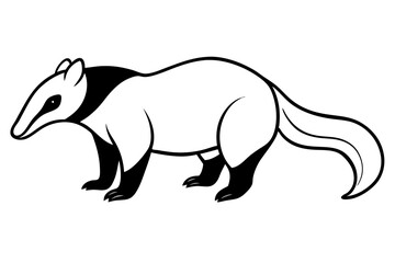 anteater line art silhouette vector illustration
