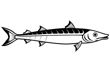 barracuda line art silhouette vector illustration