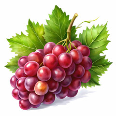 Fototapeta premium fresh red grapes with leaves